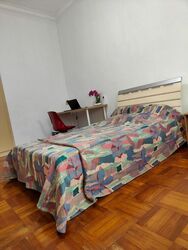Peakview Estate (D16), Terrace #513531661